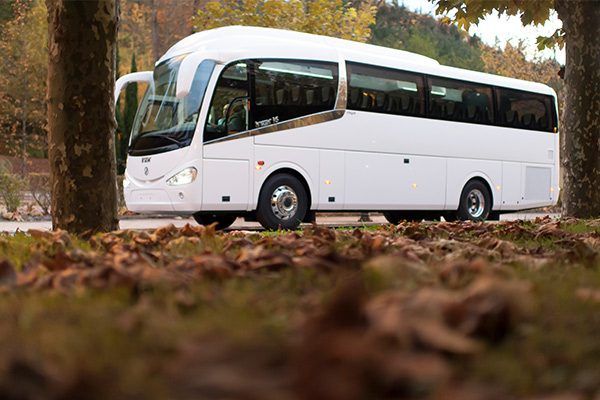 alquiler autocar madrid